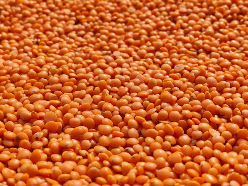 High-resolution close-up of a large pile of dried red lentils, perfect for cooking inspiration.
