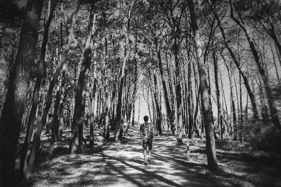 A person walking along a serene forest path surrounded by tall trees in black and white.