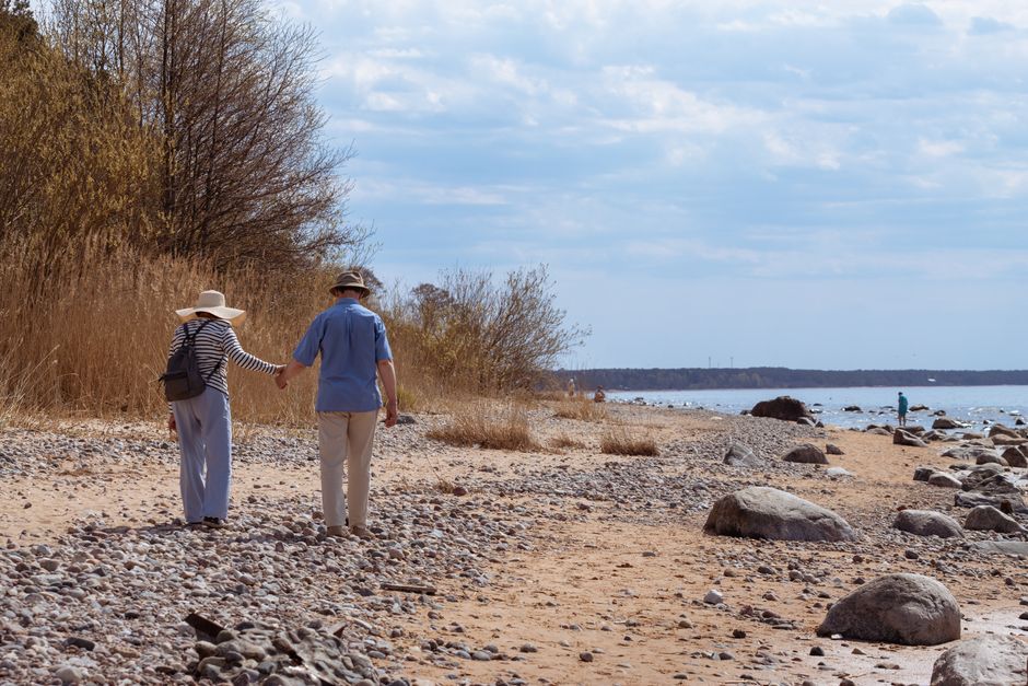 Older couple strolling on Saulkrastu beach, Latvia, amidst rocks and sand in springtime.
