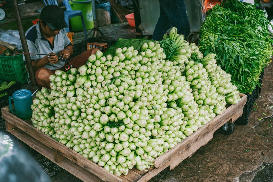 A vibrant outdoor market stall with an abundance of fresh vegetables, showcasing local agriculture.